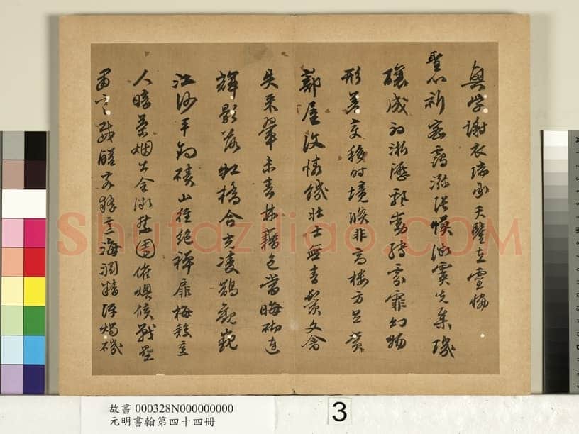 陈沂《行书诗帖、跋刁光“丛篁集羽图”》