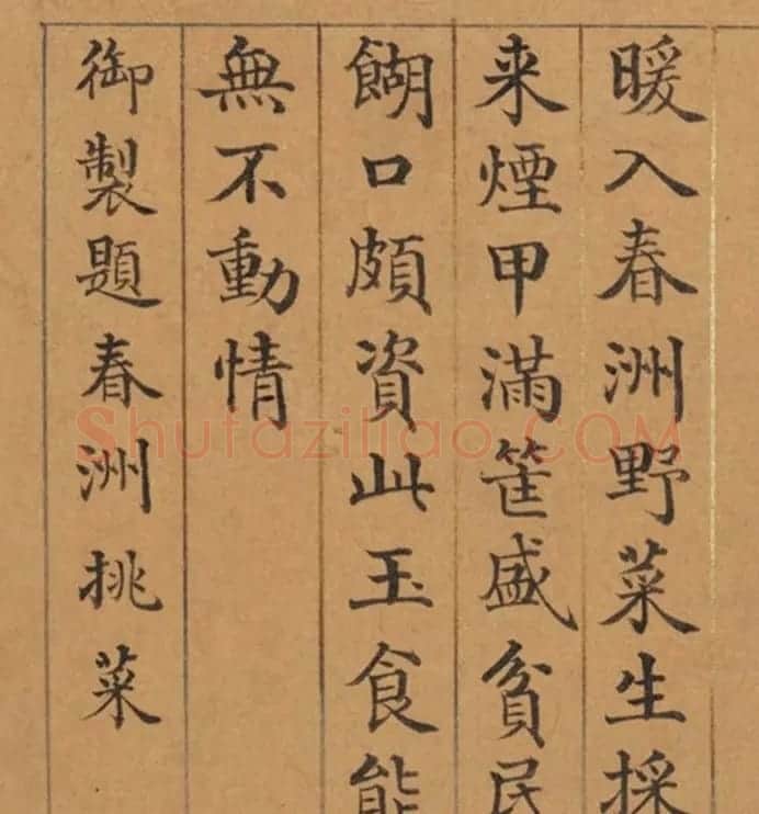 清代董诰楷书《春华集庆册》 | 书法名家作品鉴赏