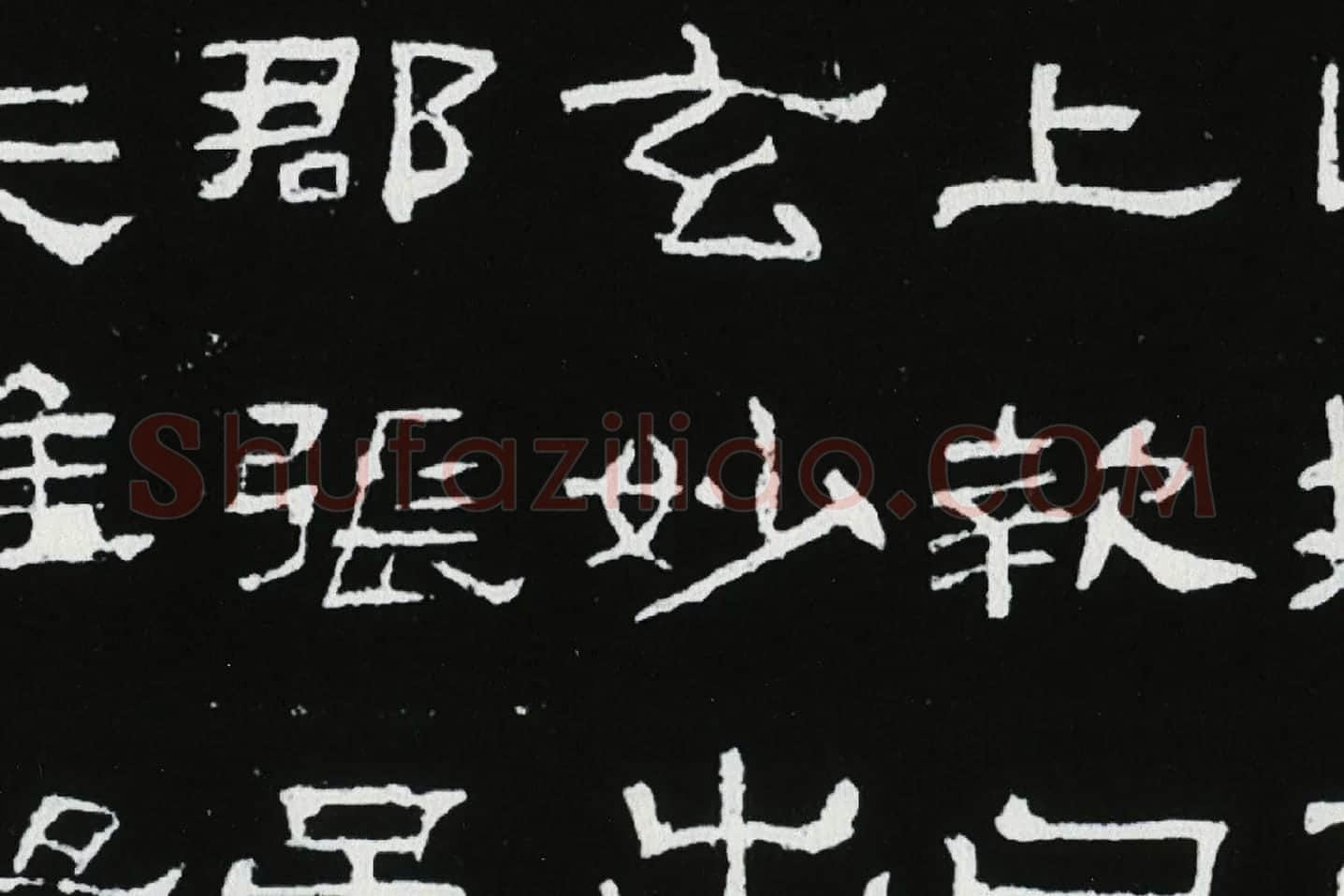 东汉隶书《肥致碑》全碑碑拓高清大图局部 (5)