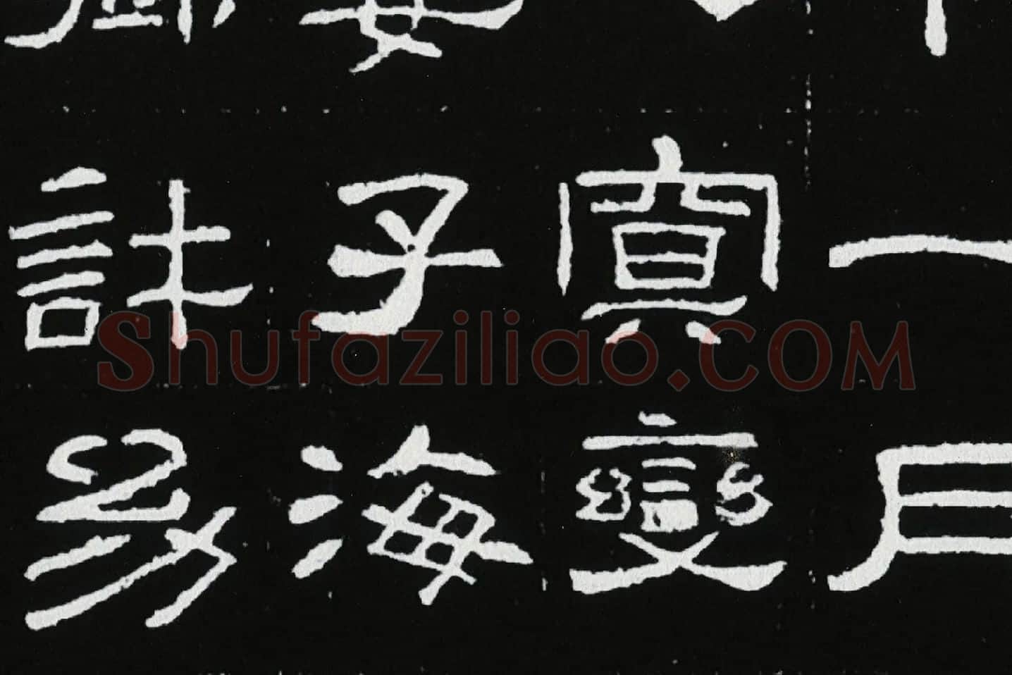 东汉隶书《肥致碑》全碑碑拓高清大图局部 (6)