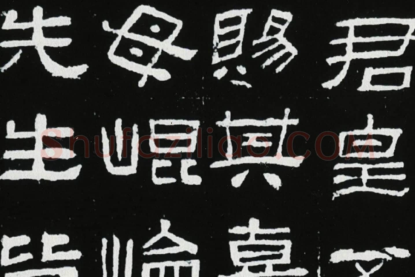 东汉隶书《肥致碑》全碑碑拓高清大图局部 (9)