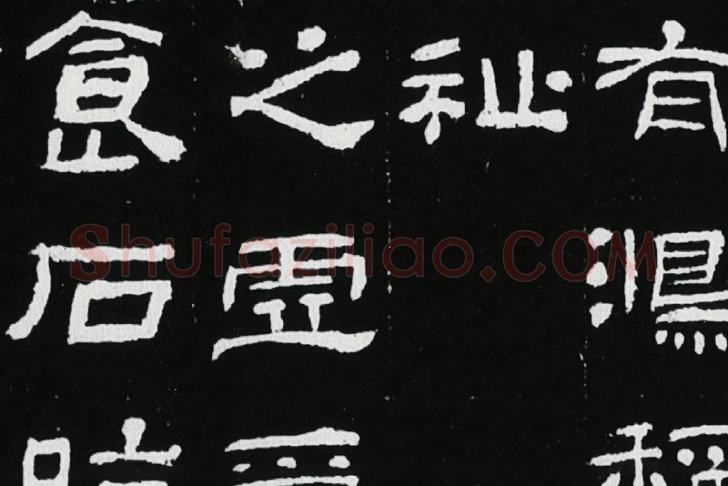 东汉隶书《肥致碑》全碑碑拓高清大图局部 (10)