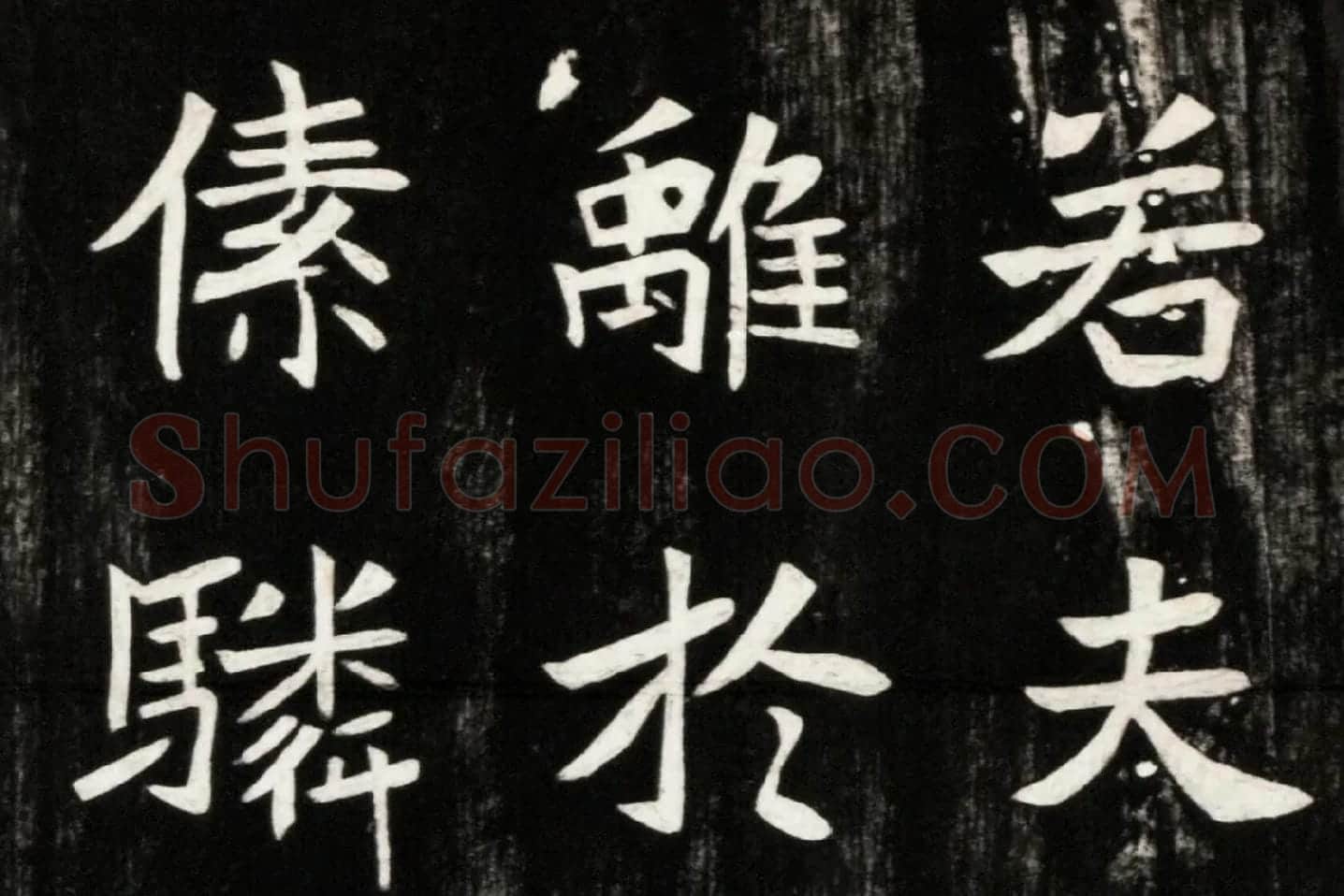 北魏楷书《高贞碑》碑拓高清大图局部 (4)