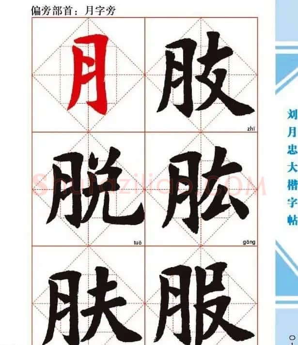 《刘月忠大楷字帖》三方格练字本 | 软笔楷书字帖