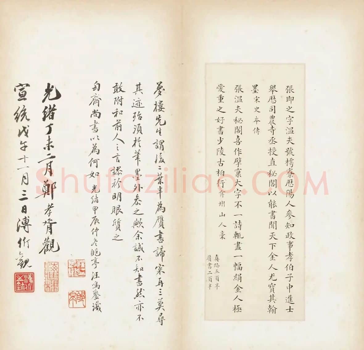 张即之楷书残册《张樗寮华严经真迹》 | 书法作品赏析