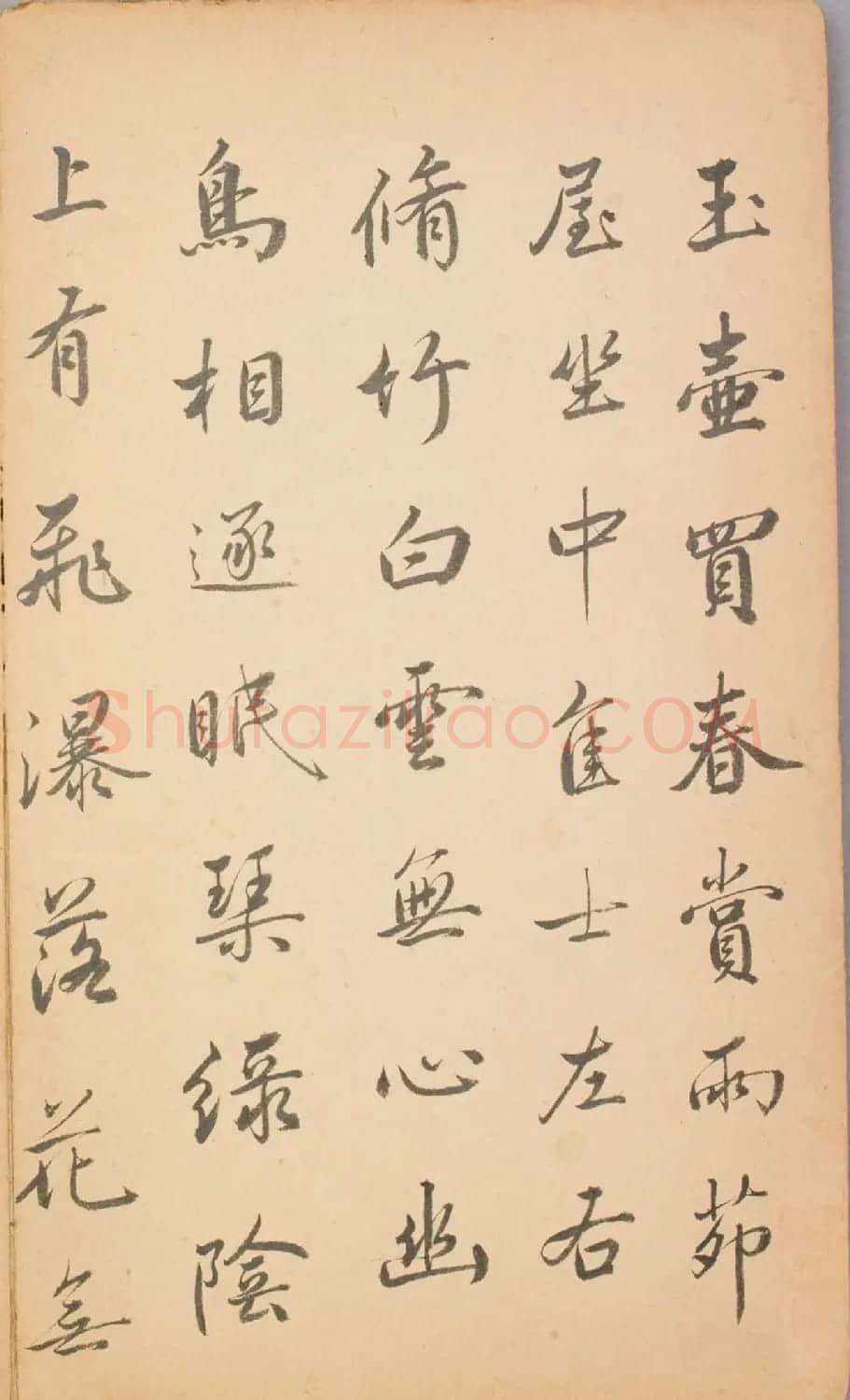 清代毛辉祖等11人书法册页 | 书法作品鉴赏