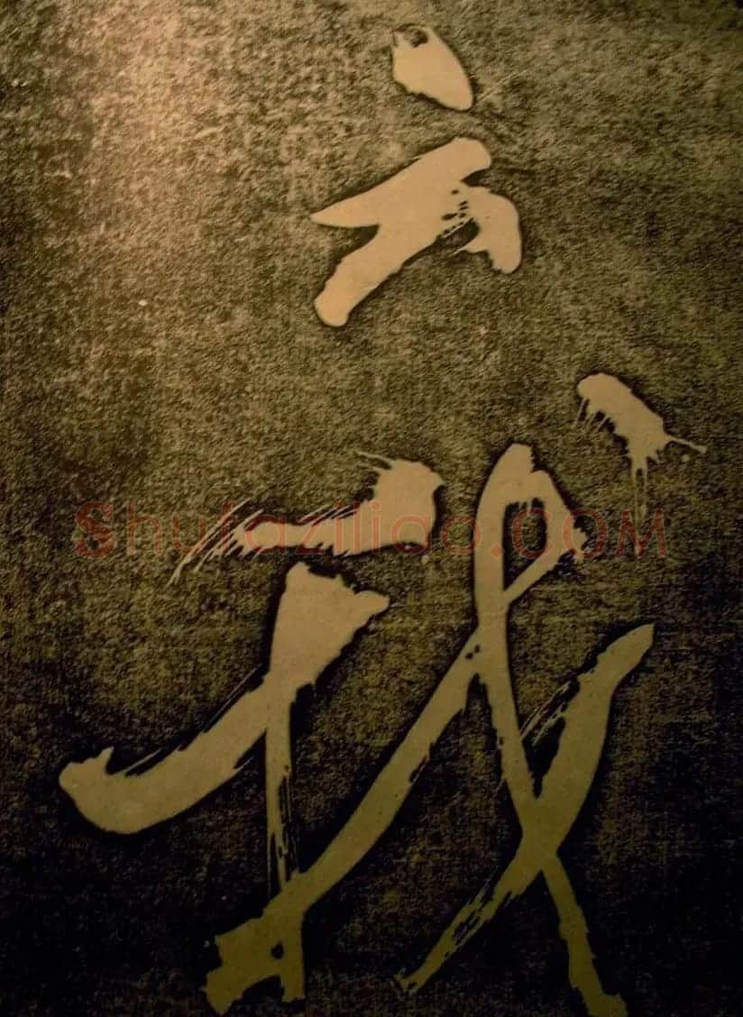 苏轼行书欣赏楚颂帖附跋 | 毛笔书法作品