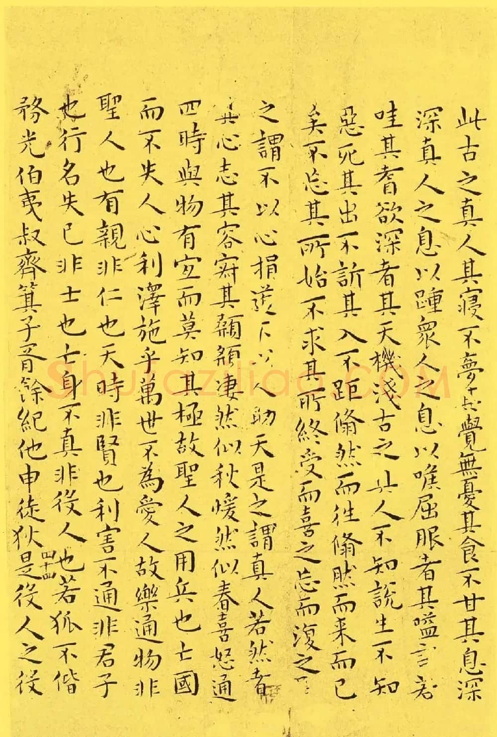 明代书法家王宠小楷欣赏《南华真经内七篇》 | 书法名家作品欣赏