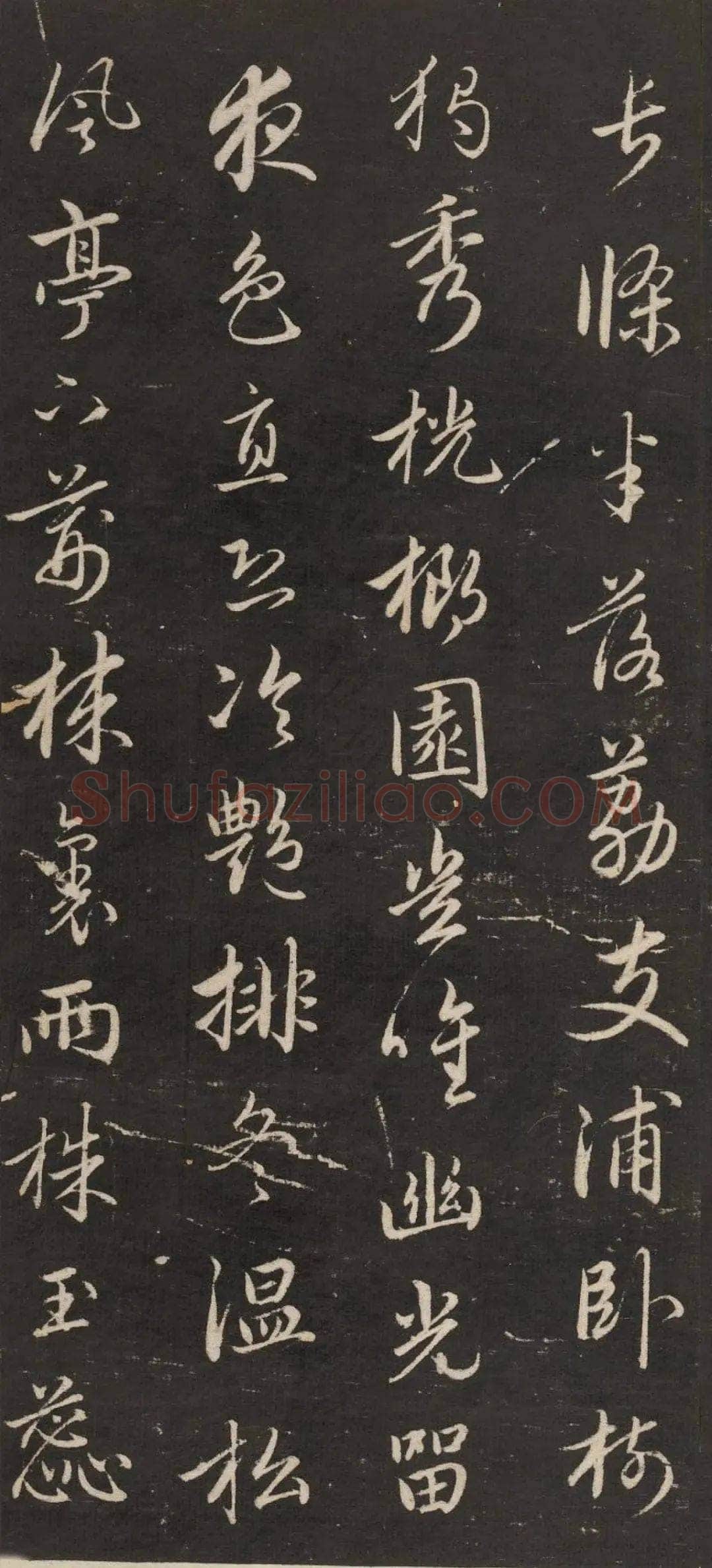 赵孟頫《行书苏轼梅花十绝》(墨拓)