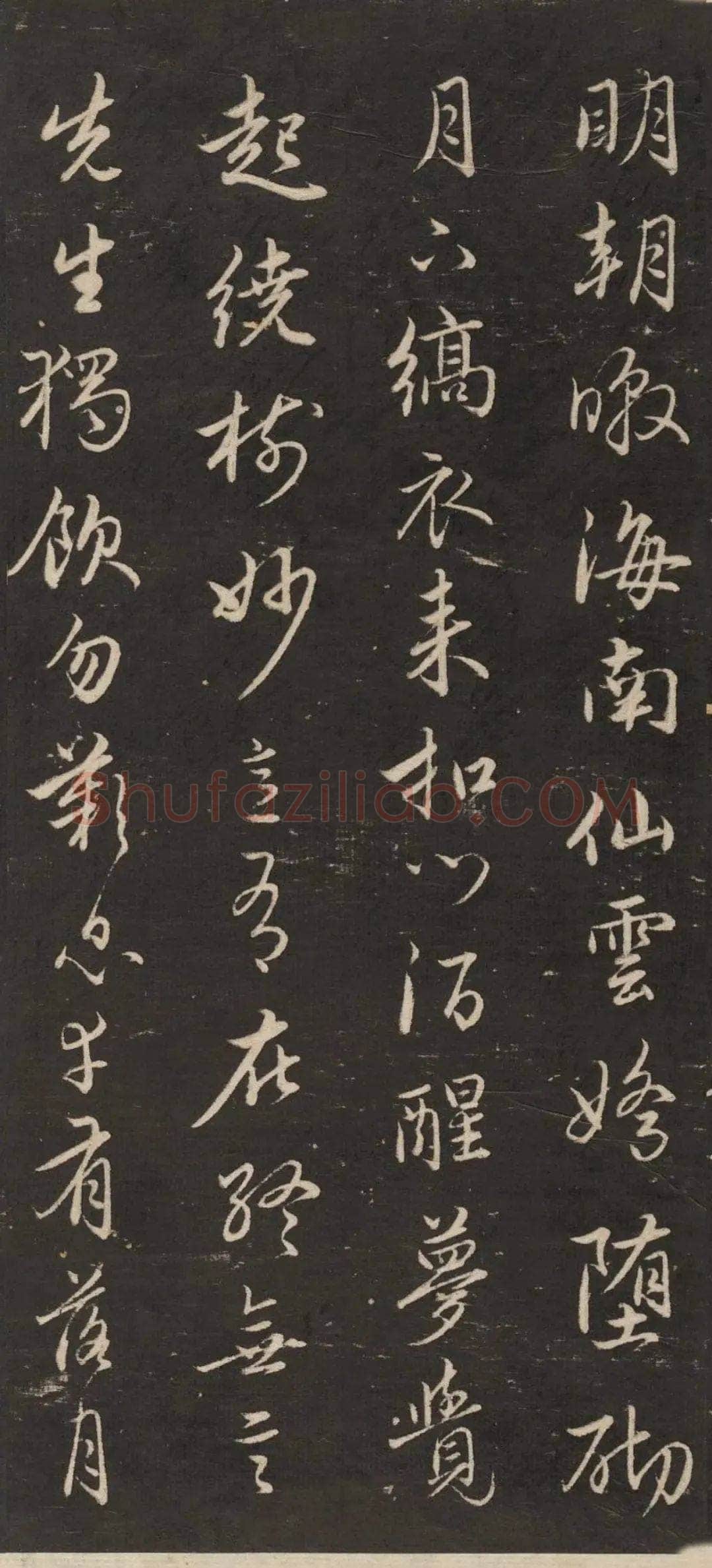 赵孟頫《行书苏轼梅花十绝》(墨拓)