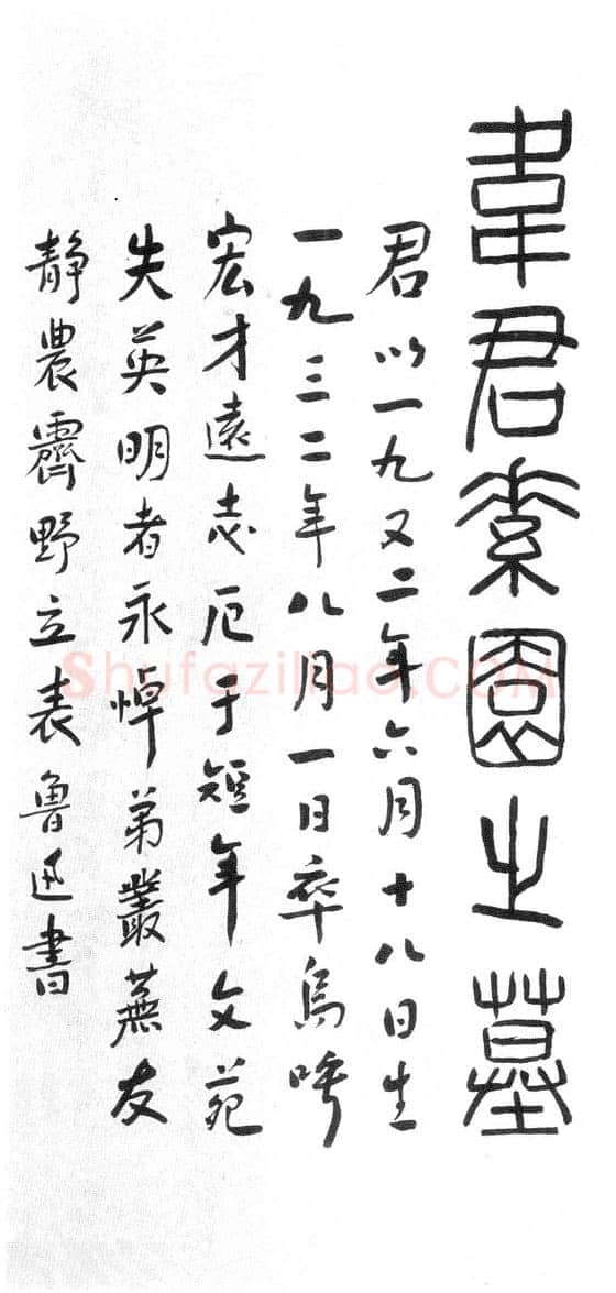 非常时髦 鲁迅的书法(作者:管继平)