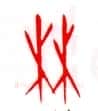 甲骨文字选介甲骨文写法,摘自甲骨文字选介