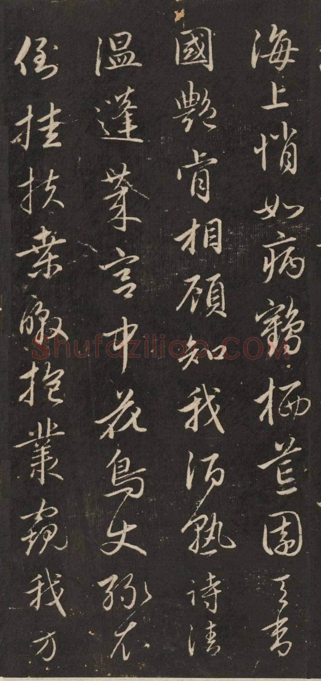 赵孟頫《行书苏轼梅花十绝》(墨拓)