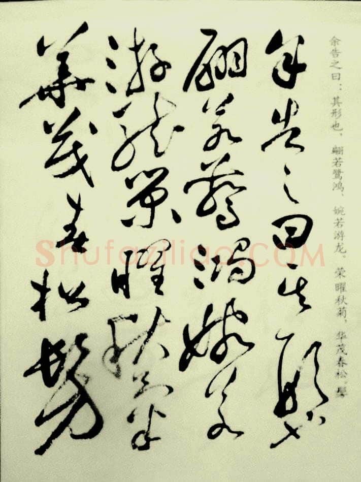 祝允明《草书洛神赋》