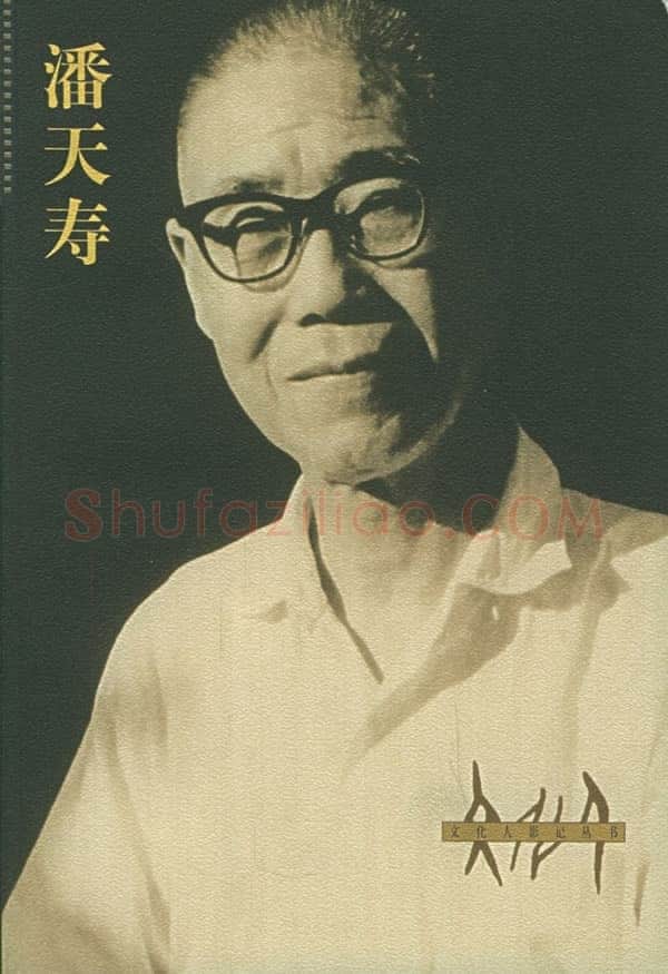 生平年表