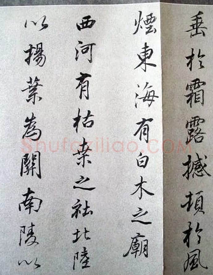 明末董其昌行书《临褚遂良枯树赋》两种 | 名家书法作品赏析