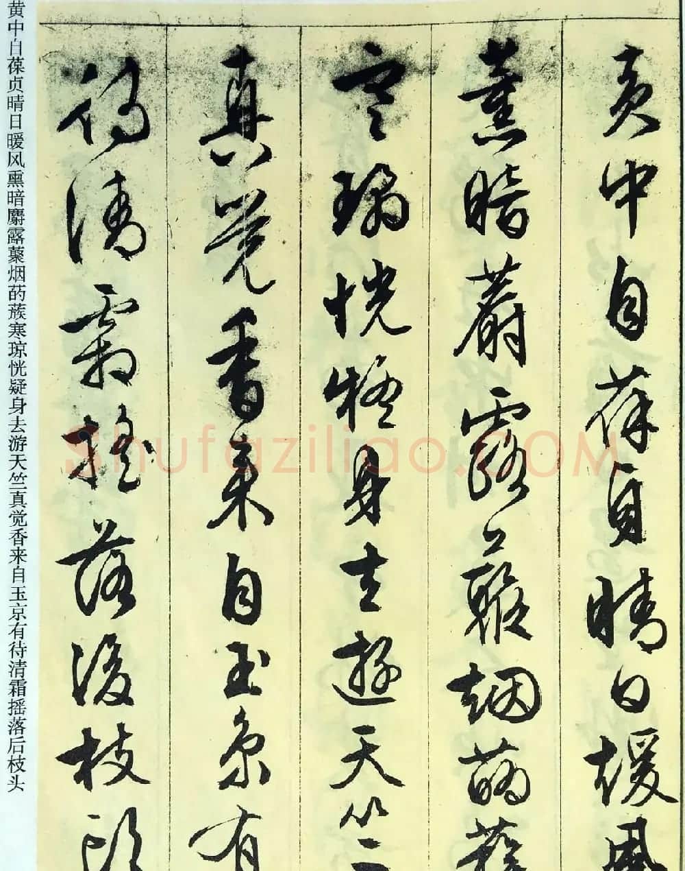 文徵明89岁墨宝《文征明书杂花诗十二首》 | 名家书法作品赏析