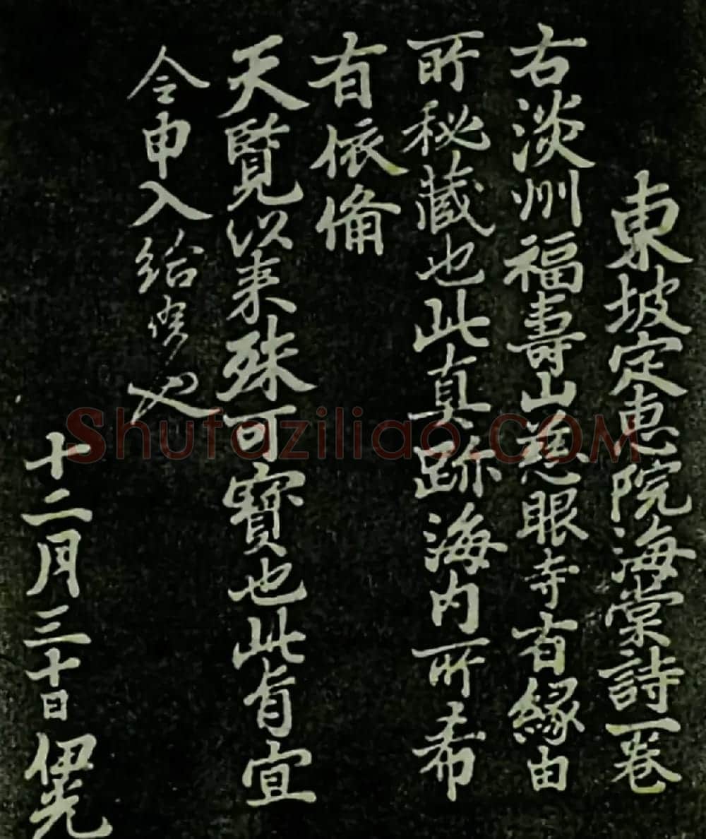 苏东坡书法欣赏《定慧院海棠诗》 | 毛笔书法作品