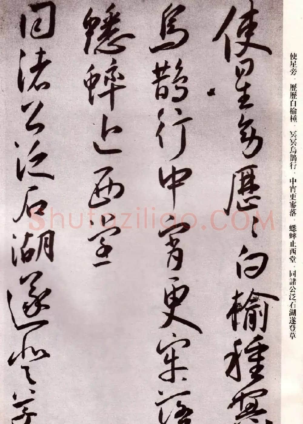 明代书法家王宠行草自书杂诗 | 名家书法作品精选