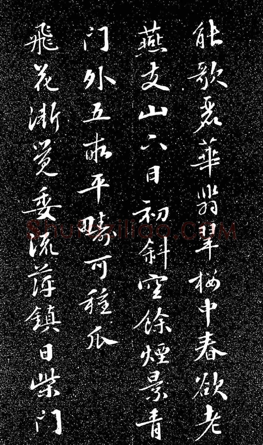 苏东坡49岁书落花诗（日本藏） | 软笔书法作品
