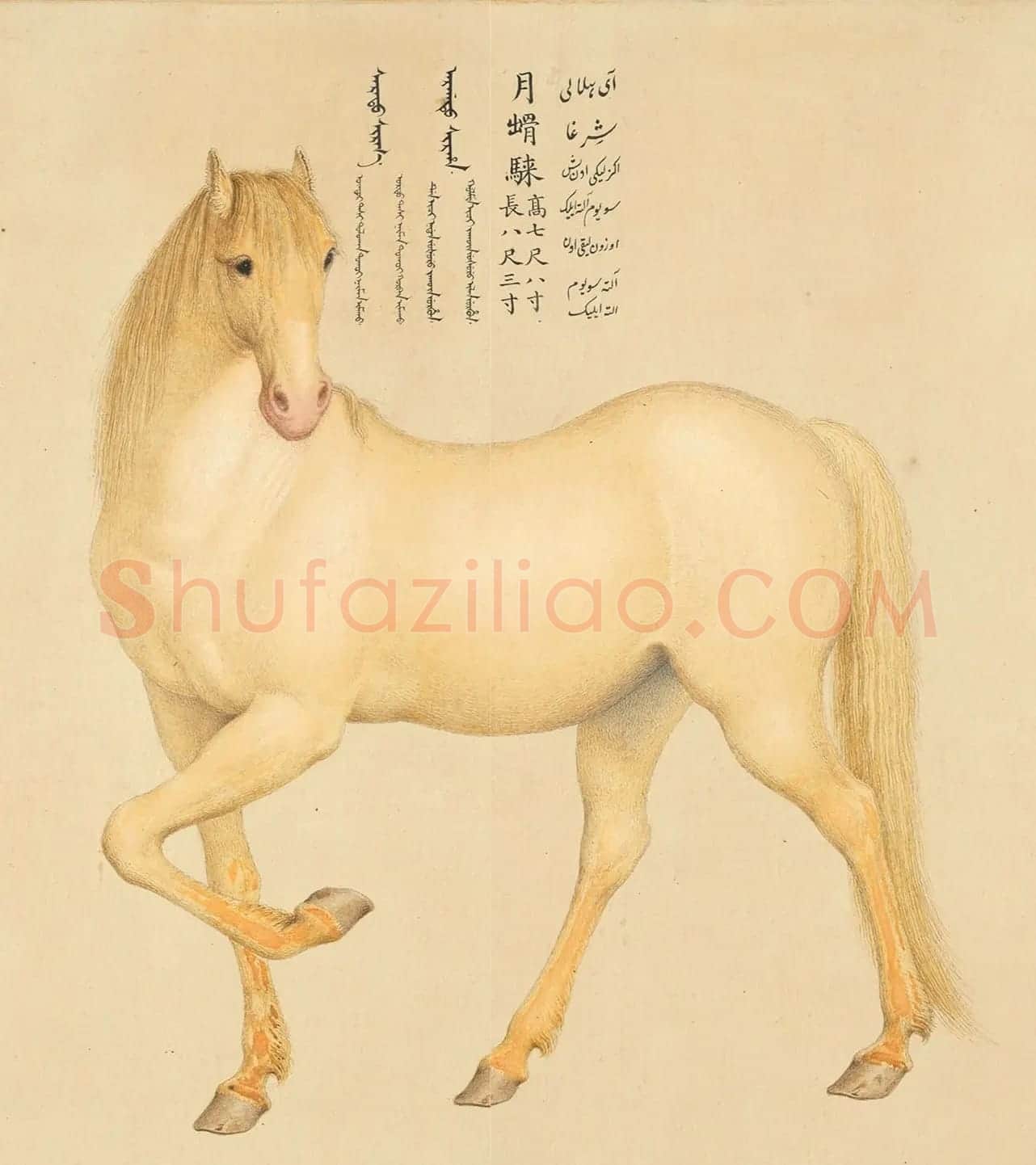 乾隆御笔书《爱乌罕四骏歌》附郎世宁画马 | 传世书法作品鉴赏