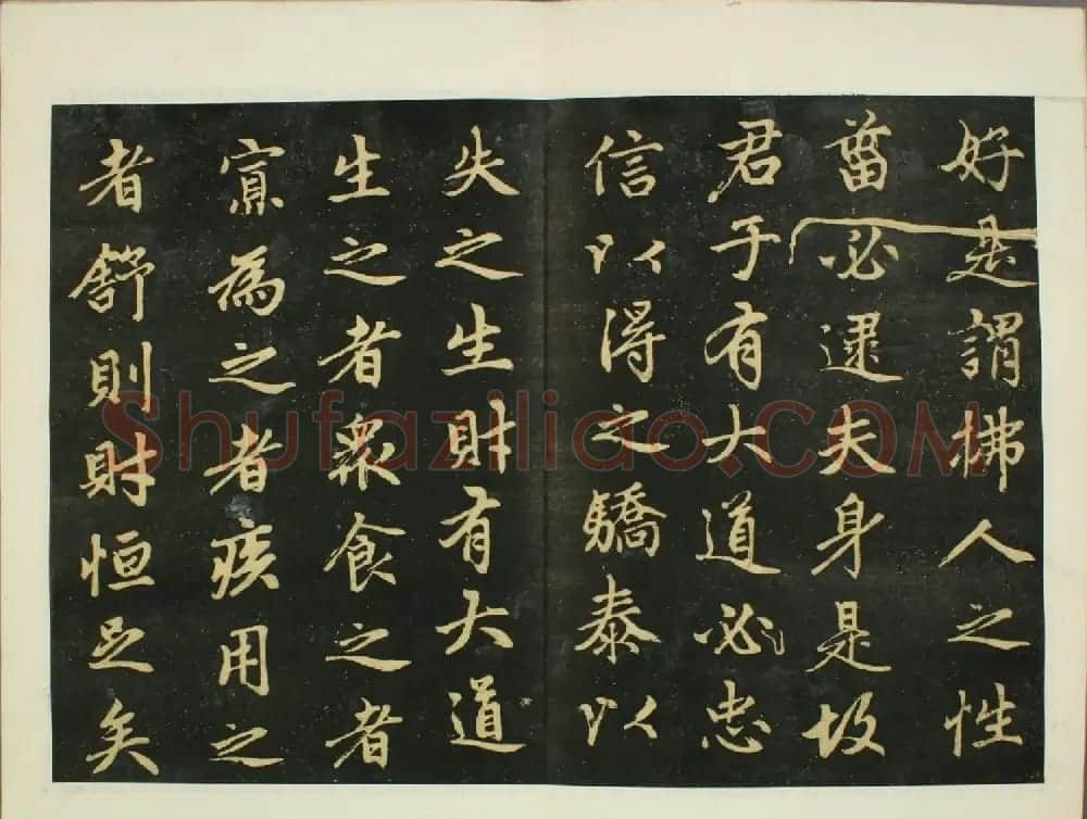 元代赵孟頫行书欣赏《子昂大学》 | 书法名家作品鉴赏