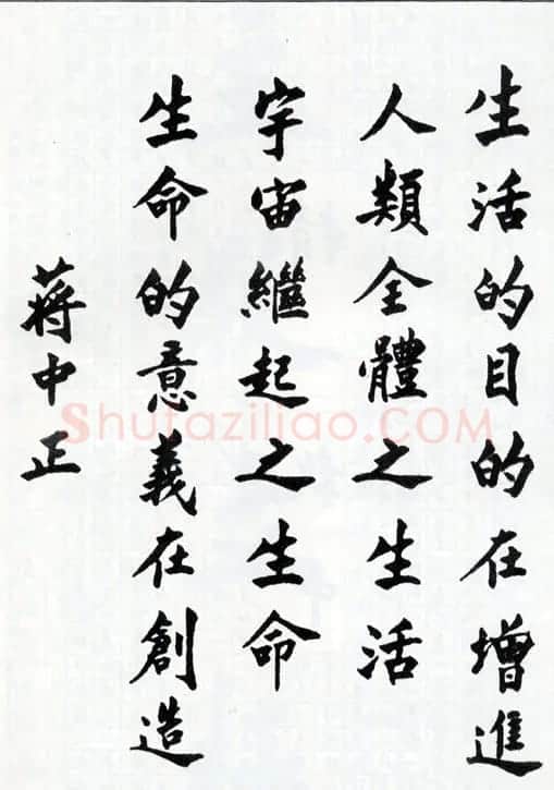 蒋中正书法作品欣赏 | 名家书法作品精选