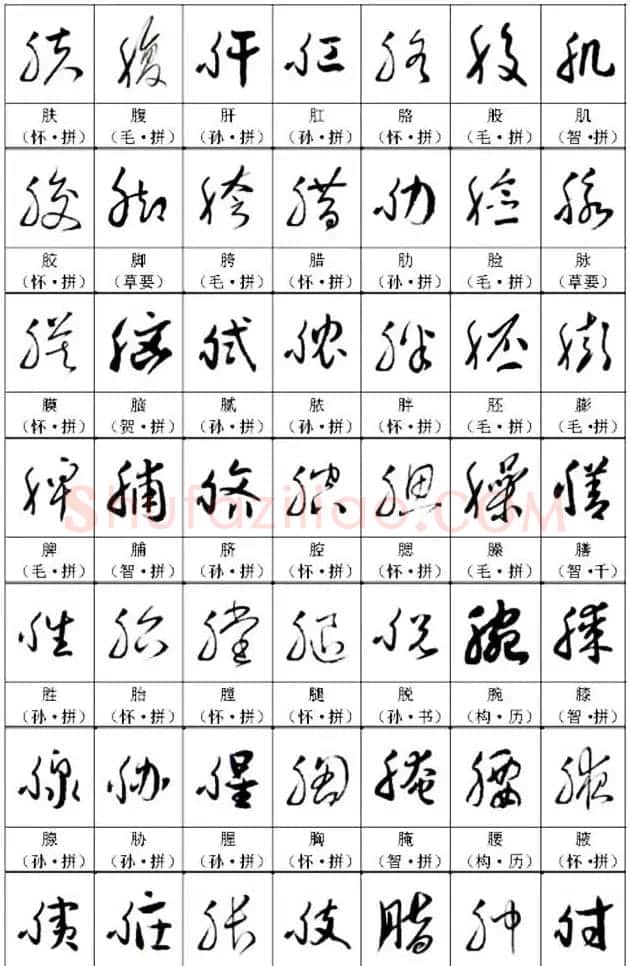 书法教材《名帖名家草书字帖范字》 | 毛笔草书字帖
