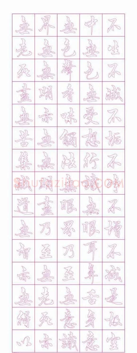 苏泽立心经书法行书红模子 | 软笔行书字帖
