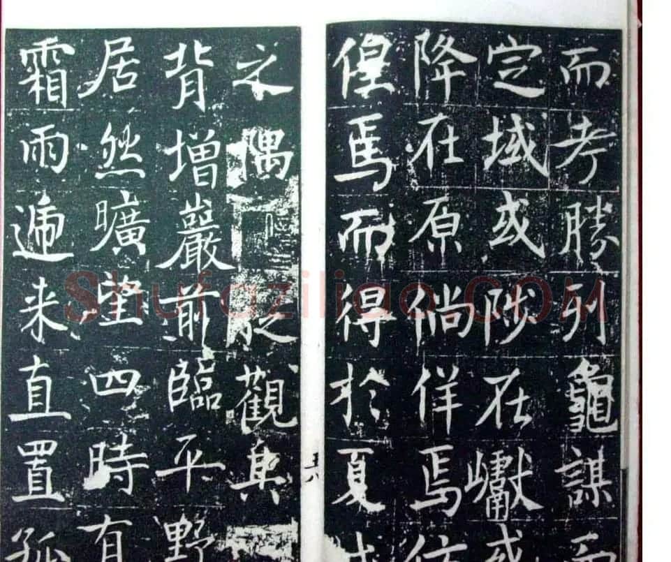 褚遂良楷书欣赏善才寺碑宋拓本 | 书法碑帖