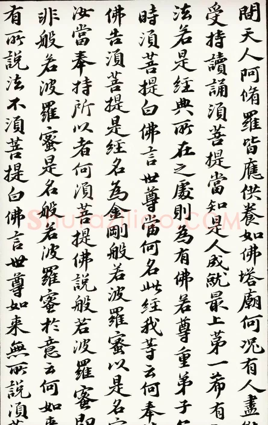苏轼行楷书法欣赏《金刚经》全本 | 毛笔书法作品