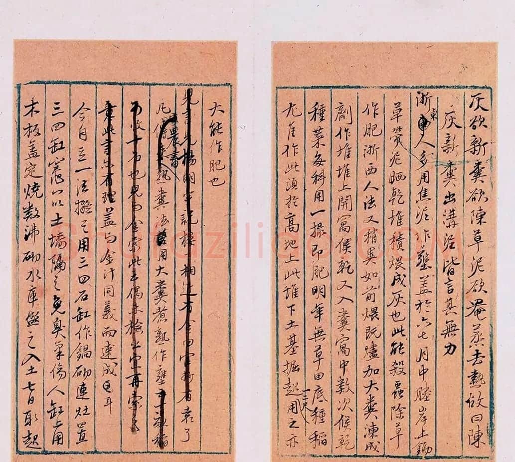 明代徐光启手迹欣赏《农政全书札记册》 | 书法名家作品欣赏