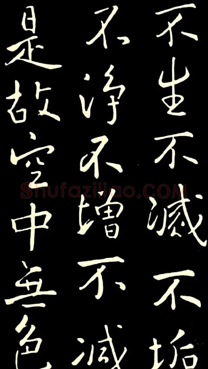 池无名书法《大雅行书般若心经》 | 书法心经全文