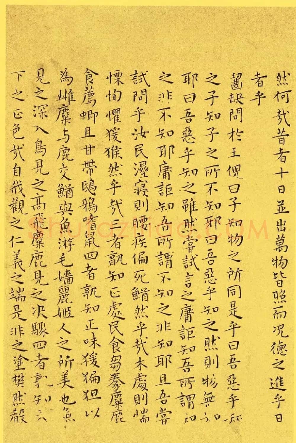 明代书法家王宠小楷欣赏《南华真经内七篇》 | 书法名家作品欣赏