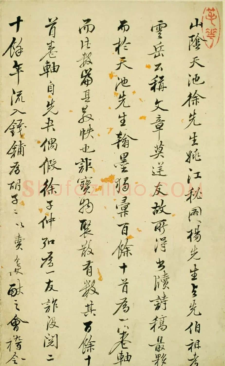 明代徐渭47岁书法《自书诗文》册 | 名家书法作品精选