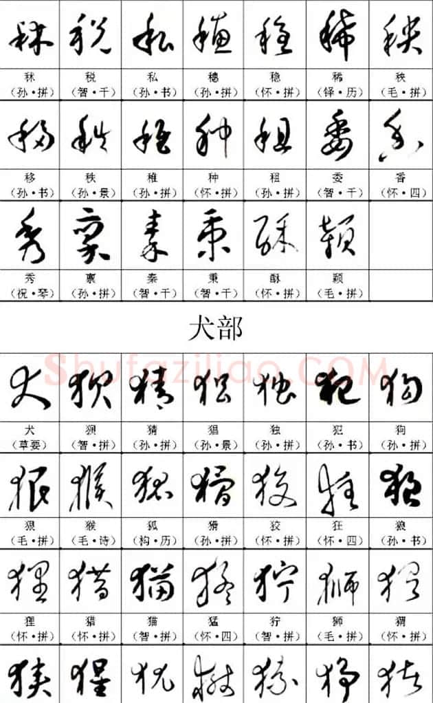 书法教材《名帖名家草书字帖范字》 | 毛笔草书字帖