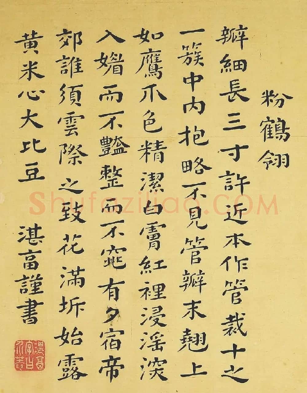 清代书法家湛畗书《菊谱》册页 | 传世书法作品精选