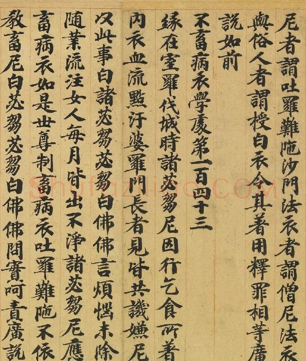 唐人书佛说广博严净不退转轮经 | 敦煌写经精选