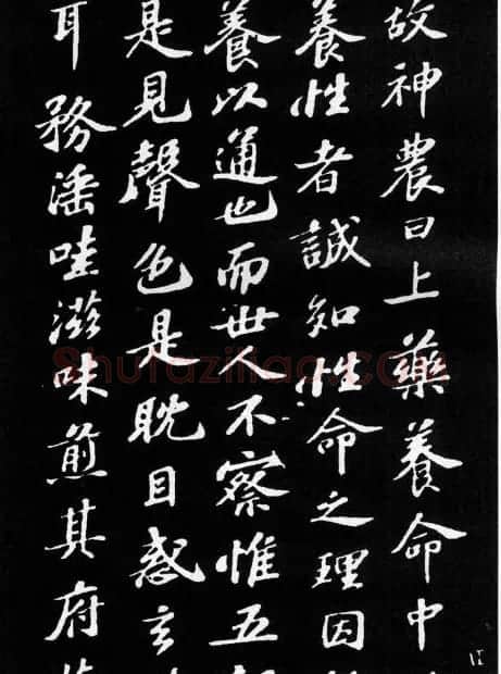 苏轼小楷欣赏《养生论》拓本 | 软笔书法作品