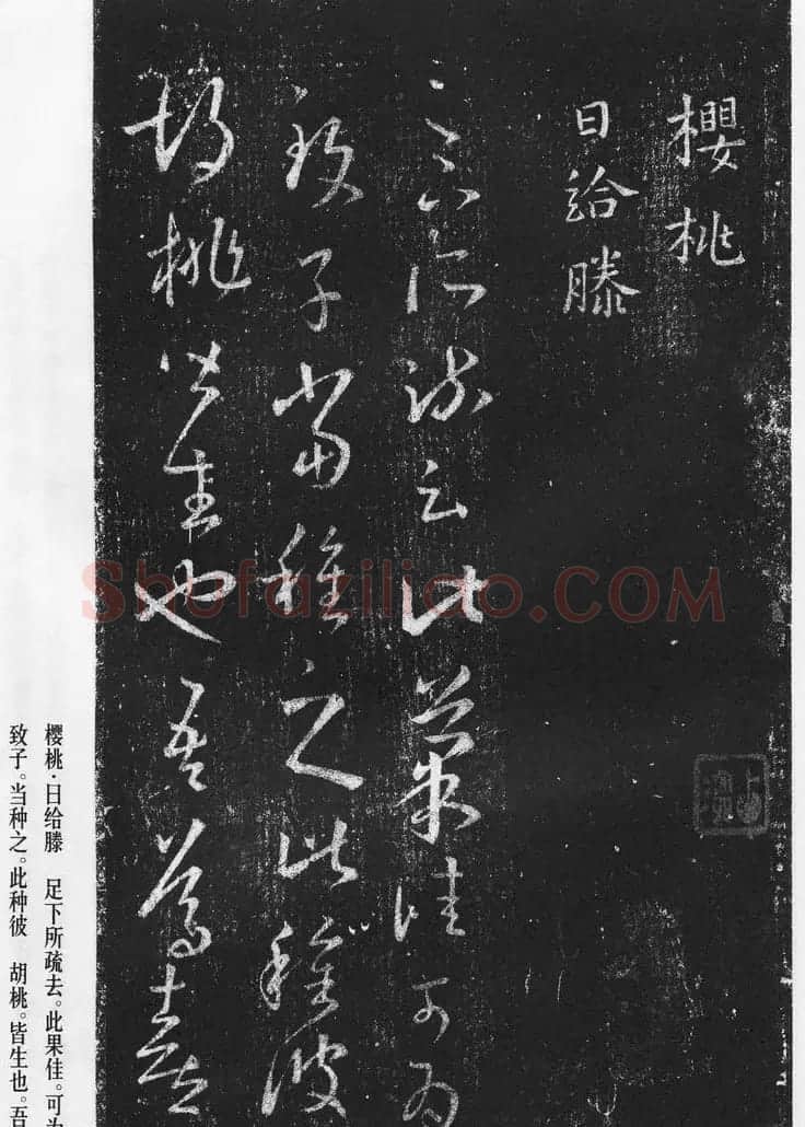 王羲之草书作品《十七帖》 | 书法名家作品欣赏