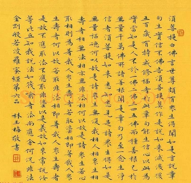 漳州市女书法家林玉梅小楷金刚经 | 书法作品赏析