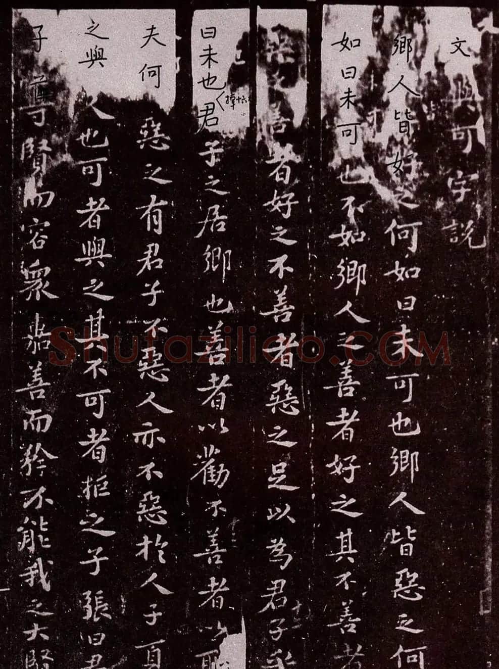 苏轼书法欣赏《文与可字说》 | 毛笔书法作品