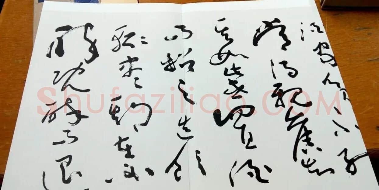沈鹏草书欣赏《五柳先生传》 | 软笔书法作品