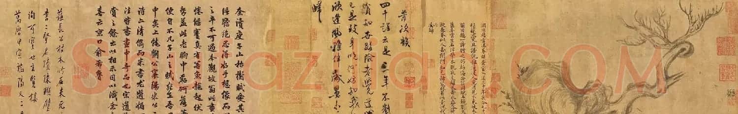 米芾行书题跋苏轼《枯木怪石图》 | 毛笔书法作品