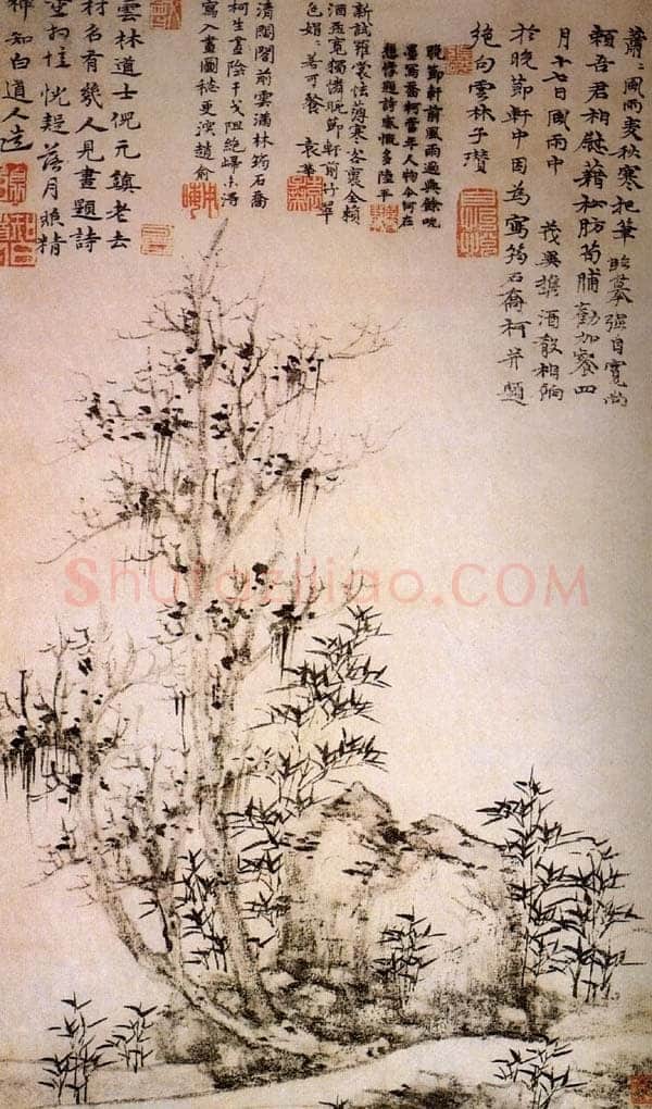 倪瓒题筠石乔柯图
