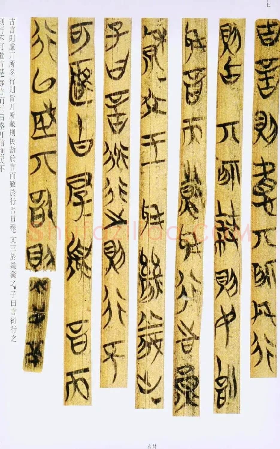 战国楚竹简书法欣赏《缁衣篇》 | 书法作品欣赏