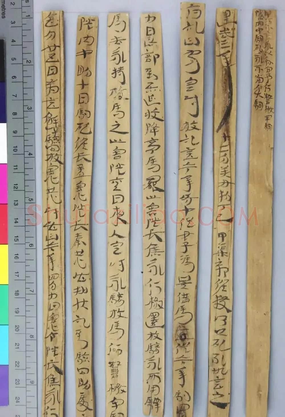 东汉章草隶体木简《误死马驹册》 | 书法作品欣赏