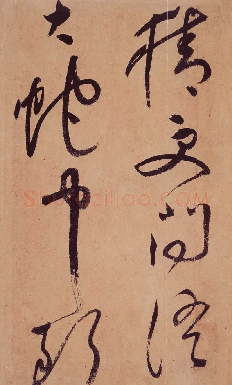 祝允明草书欣赏《桃源图诗册》 | 书法名家作品鉴赏