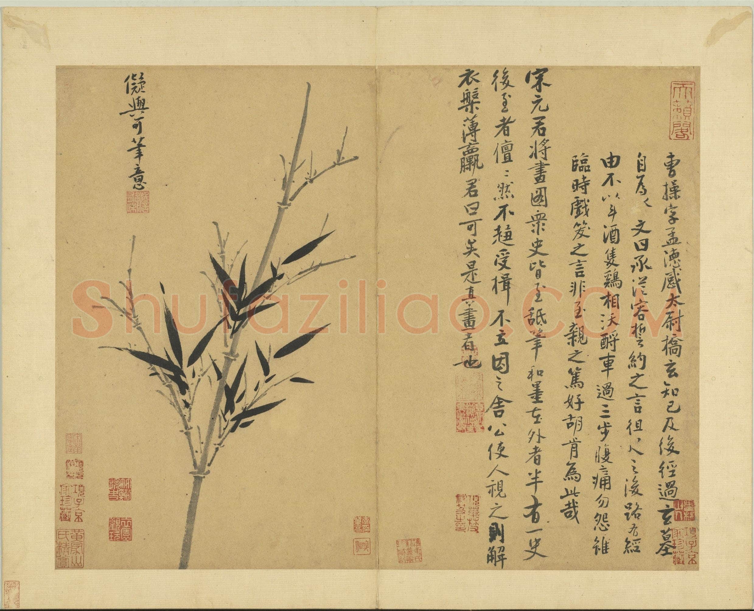 吴镇《墨竹谱》册 纸本 每页纵40.3厘米,横52厘米 二十二页 台北故宫博物院藏