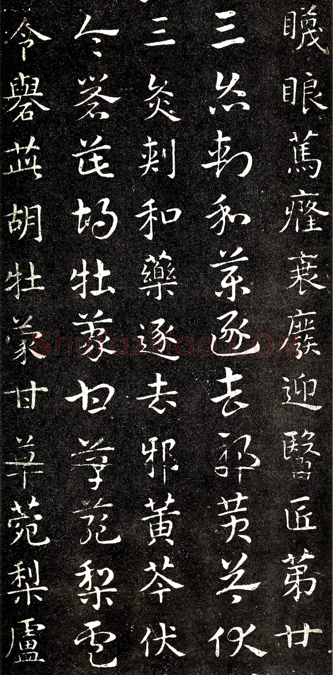 皇象章草《急就章》选页皇象书法欣赏,摘自三国急就章